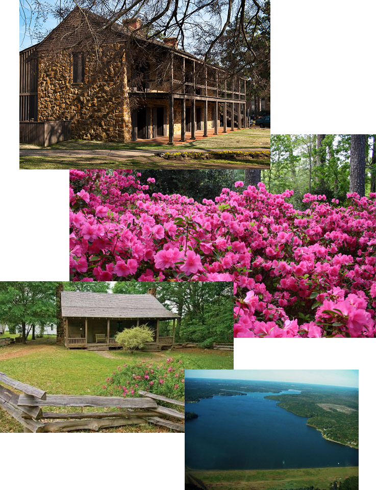 Collage of amenities