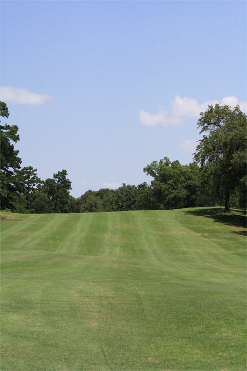 Picture of Golf Fairway